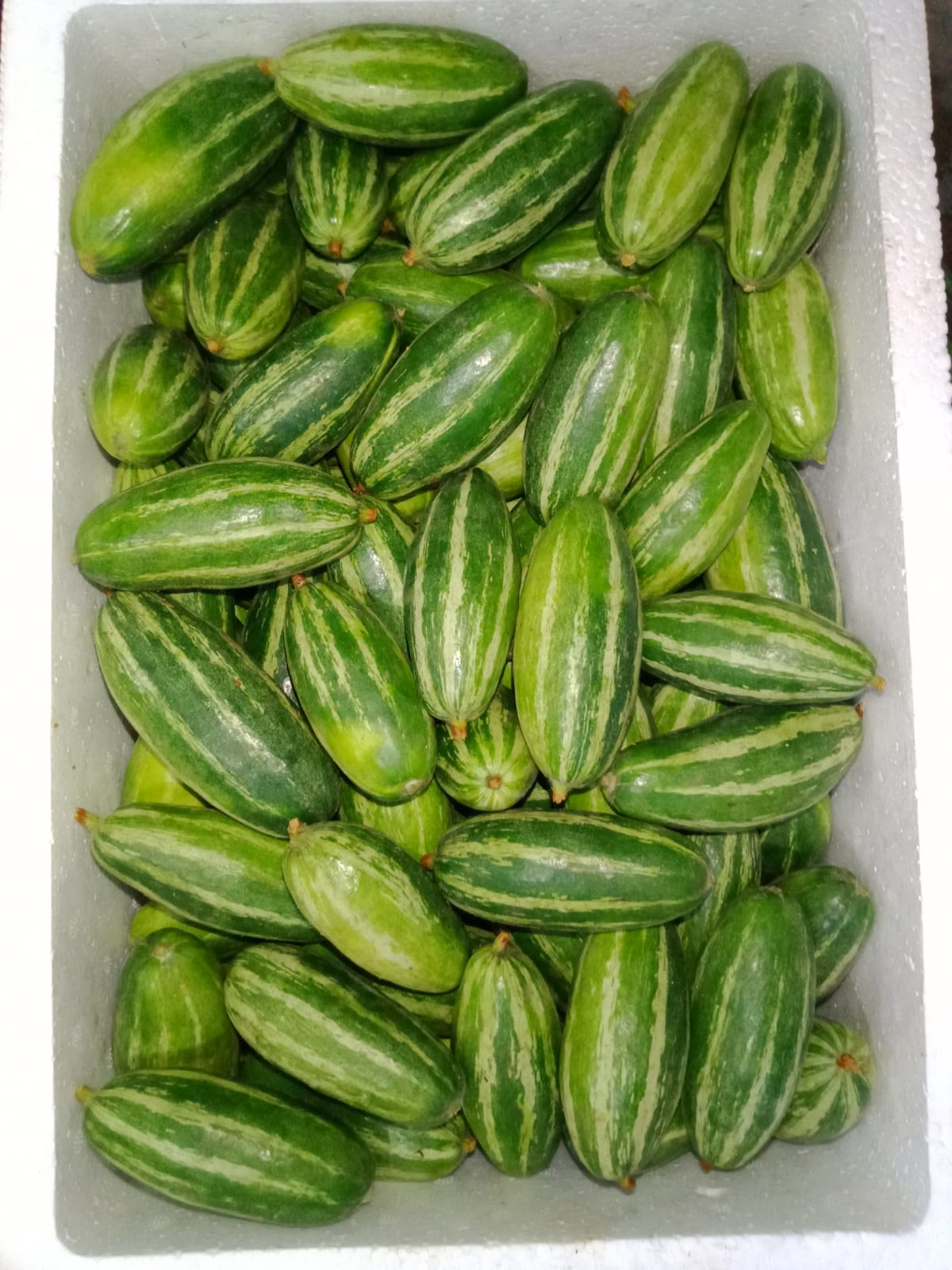 https://globaltradelinkbd.com/Pointed Gourd