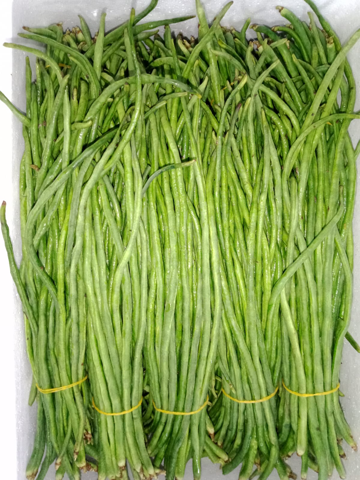 https://globaltradelinkbd.com/Yard long Bean