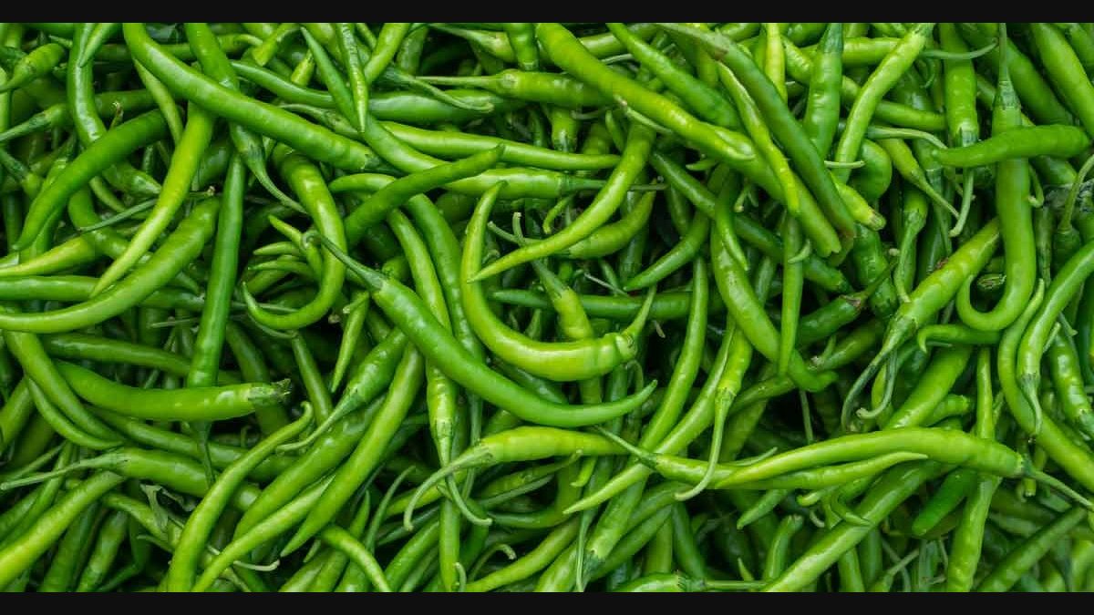 Green Chilli