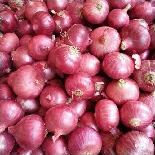 Red Onion