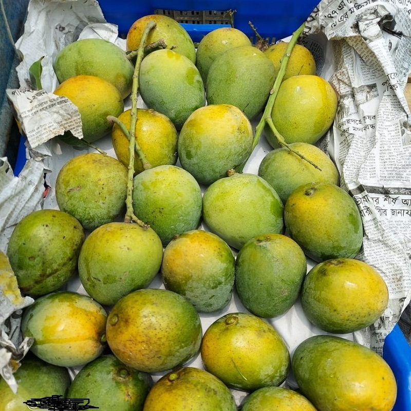 Himsagar Mango