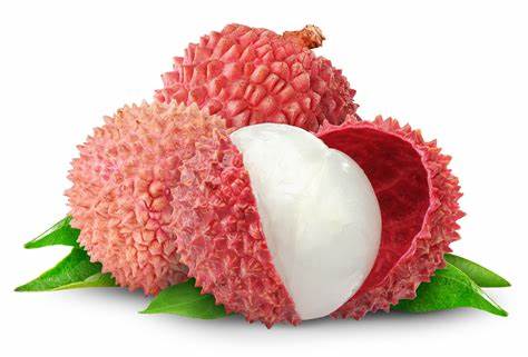 Lychee