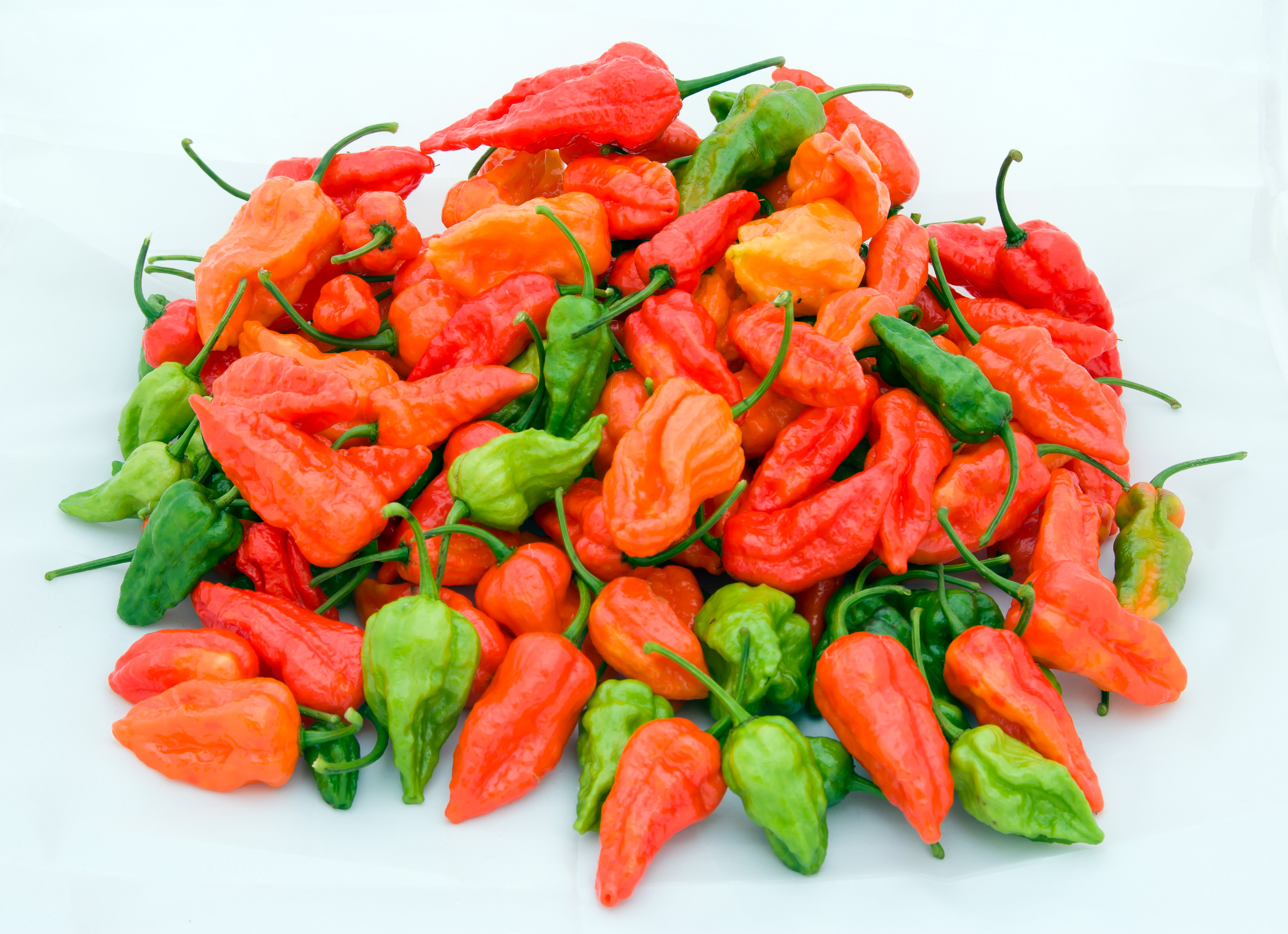 Naga Chilli