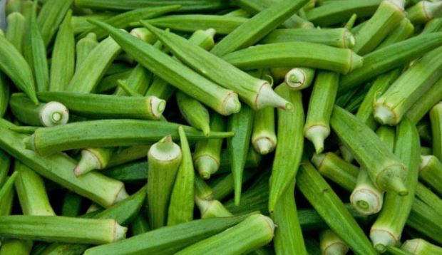 Lady's Finger / Okra