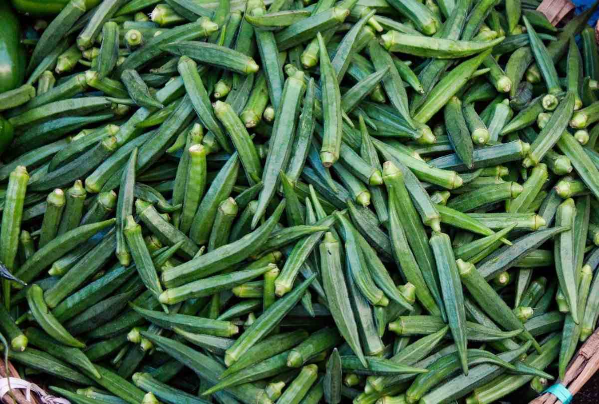 Lady's Finger / Okra