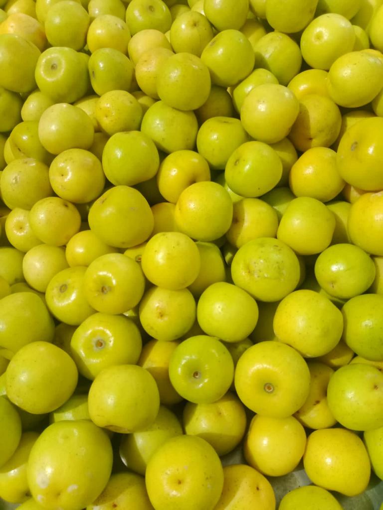 Sour Jujube