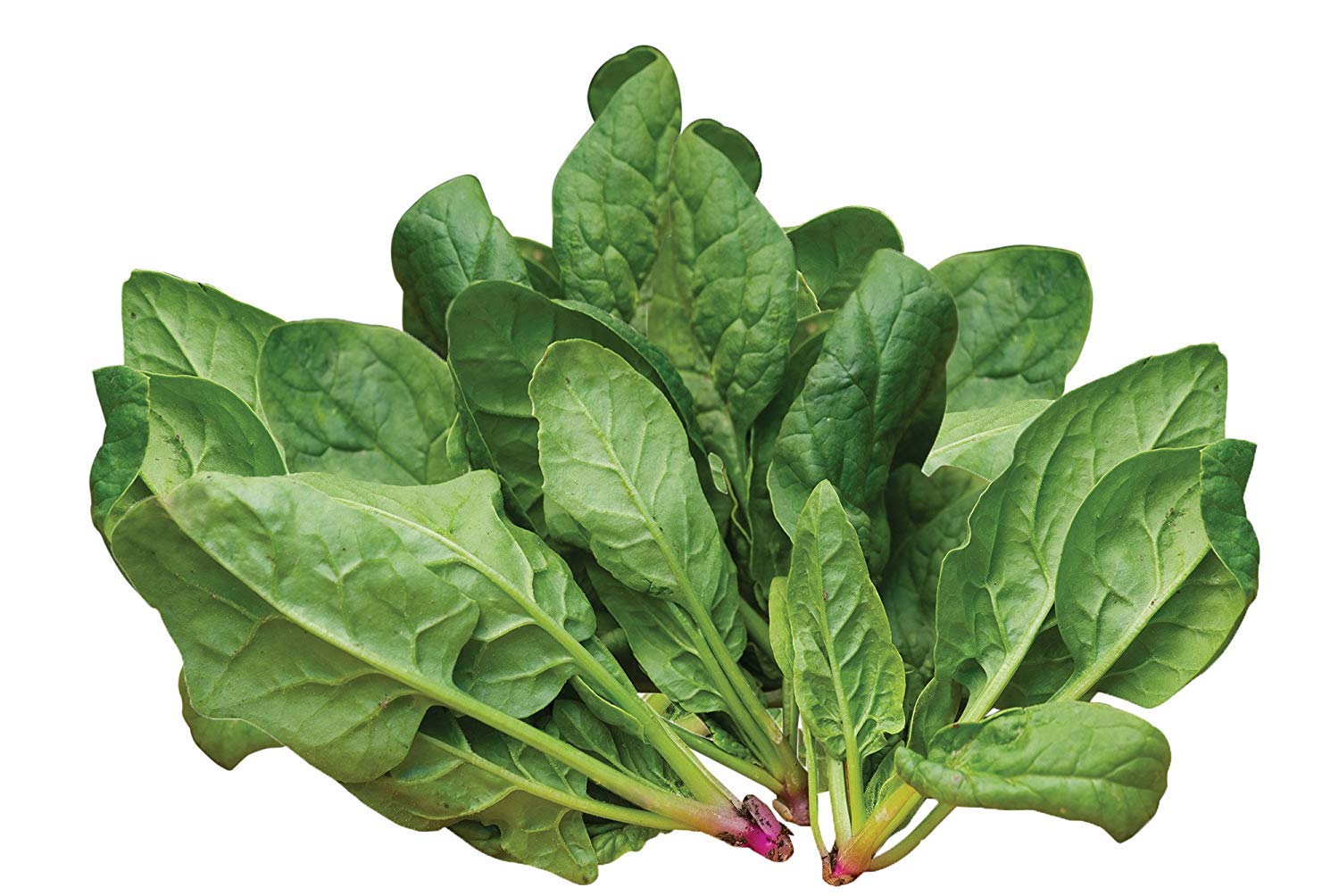 Indian Spinach